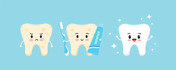 Diente lindo con placa amarilla se convierte en diente blanco y saludable con la ayuda de pasta de dientes, cepillo de dientes . — Vector de stock