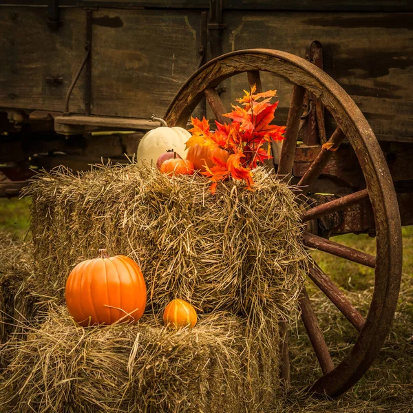 Décoration de roue de chariot de récolte d'automne — Photo