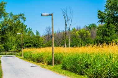 Saint Hubert, Canada - July 28, 2019: Lamp post in the Parc de la Cit in Saint Hubert