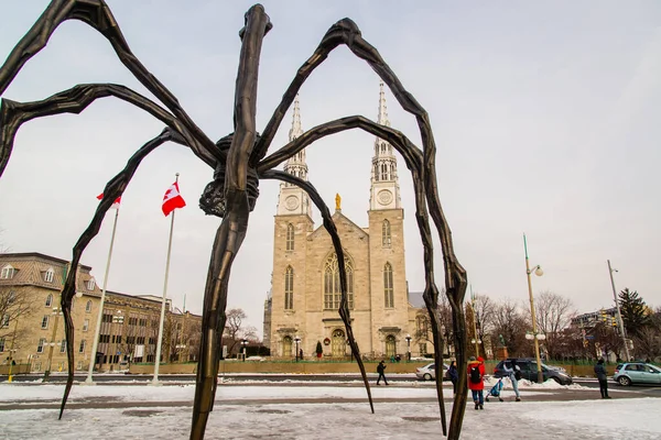 Anne örümcek heykeli Ottawa katedralindeki bazilika notre dame katedrali ile