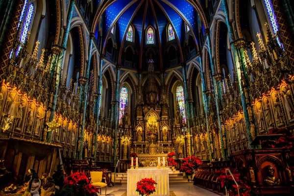 Ottawa, Kanada - 31 Aralık 2018: Notre Dame Katedrali Ottawa Bazilikası
