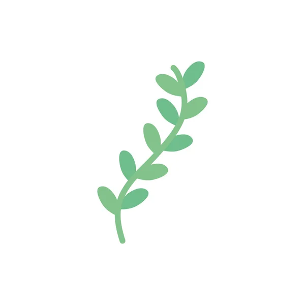 Isolé feuilles naturelles style plat icône conception vectorielle — Image vectorielle