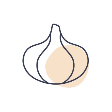 Isolated garlic vegetable line color style icon vector design