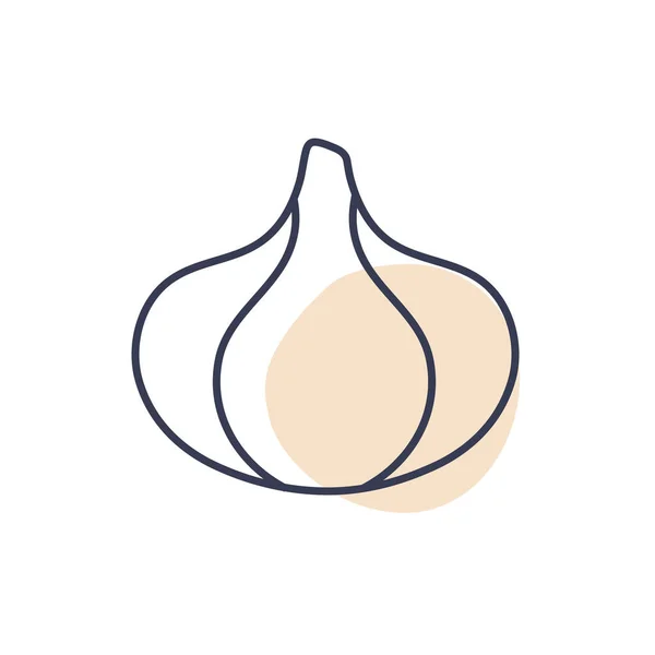 Isolated garlic vegetable line color style icon vector design — Stockvector