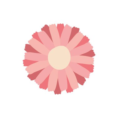 İzole edilmiş kırmızı ve pembe çiçek düz biçim vektör tasarımı