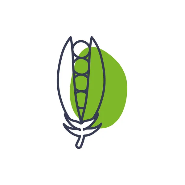 Frijoles aislados línea vegetal color estilo icono diseño vectorial — Vector de stock