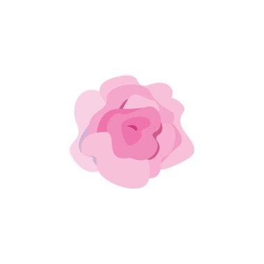 Isolated natural rose flower fill style icon vector design