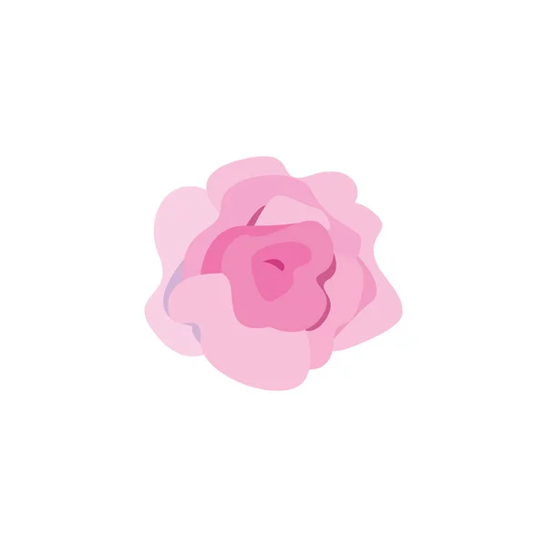 Isolated natural rose flower fill style icon vector design — ストックベクタ
