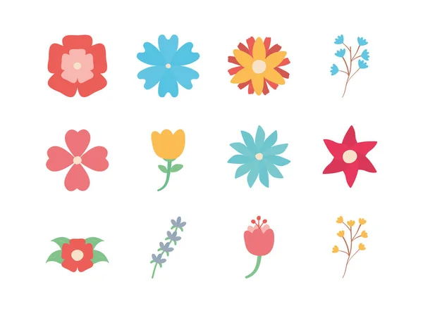 Ізольовані квіти Плоский стиль набір значків Векторний дизайн — стоковий вектор