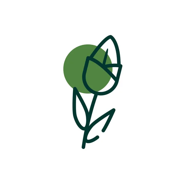 Isolated natural flower half line half color style icon vector design — 图库矢量图片