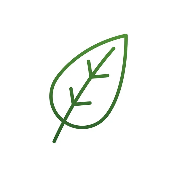 Diseño de vectores de icono de estilo degradado de hoja natural aislado — Vector de stock