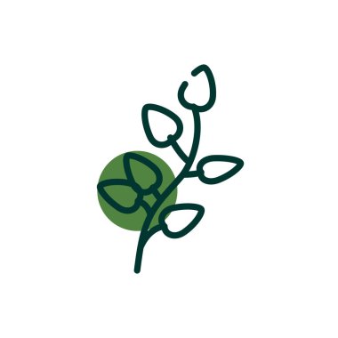 Isolated natural leaves half line half color style icon vector design