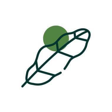 Isolated natural leaf half line half color style icon vector design