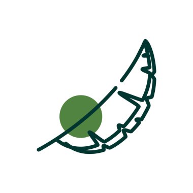 Isolated natural leaf half line half color style icon vector design