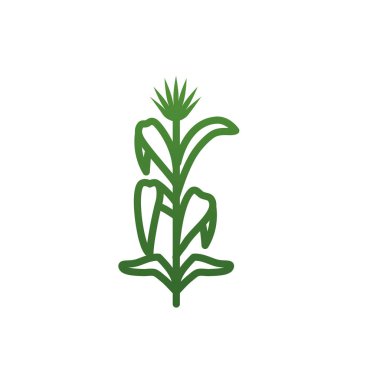 Isolated natural leaves gradient style icon vector design