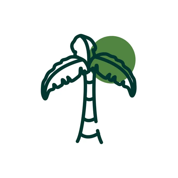 Ізольоване пальмове дерево половина лінії наполовину кольоровий стиль значок Векторний дизайн — стоковий вектор