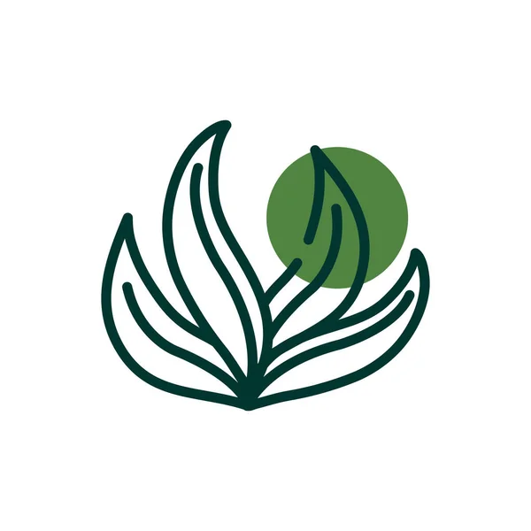 Isolato foglie naturali metà linea mezzo colore stile icona vettoriale design — Vettoriale Stock