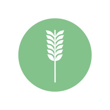 Isolated wheat ear silhouette block style icon vector design