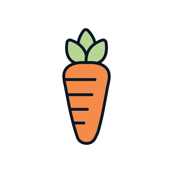 Isolated carrot vegetable line fill style icon vector design — Stok Vektör