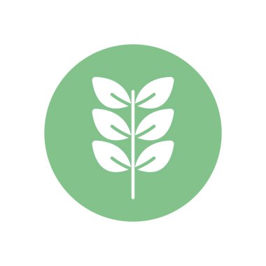 Isolated natural leaves silhouette block style icon vector design