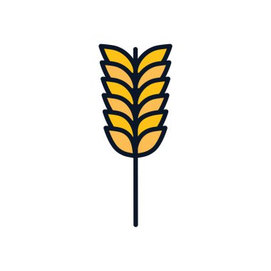 Isolated wheat ear line fill style icon vector design