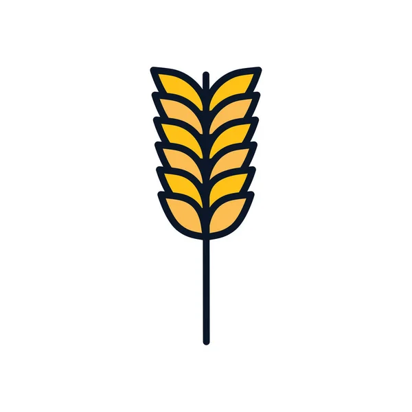 Isolé blé oreille ligne remplissage style icône vectoriel design — Image vectorielle