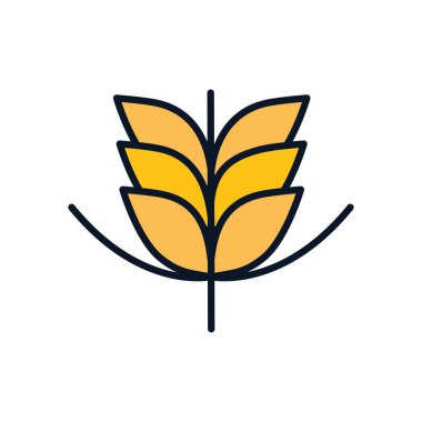 Isolated wheat ear line fill style icon vector design