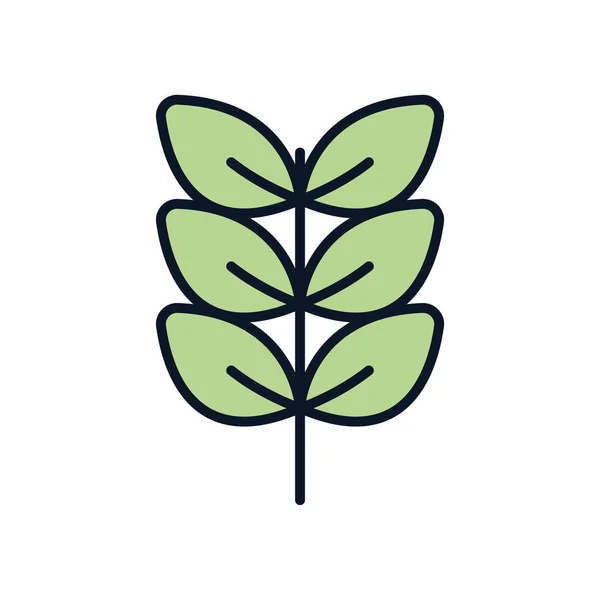 Isolated natural leaves line fill style icon vector design — Stockový vektor