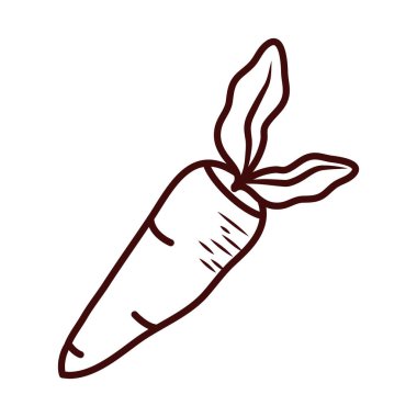 İzole edilmiş havuç sebze çizgisi biçim vektör tasarımı