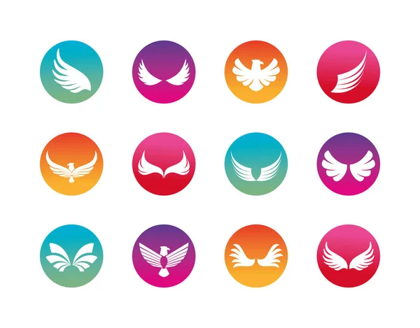 Izolowane skrzydła i orły sylwetka blok styl ikona zestaw wektor projekt — Wektor stockowy