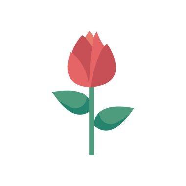 Isolated flower fill style icon vector design