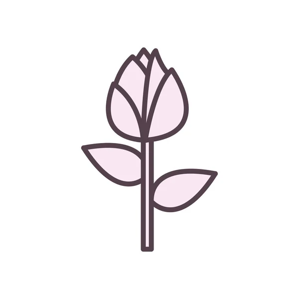 Diseño de vectores de icono de estilo de línea de flores aisladas — Vector de stock