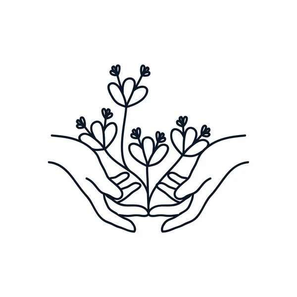 Mãos delicadas com belo ícone de flores, estilo de linha — Vetor de Stock