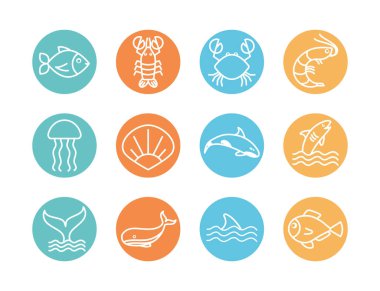 İzole edilmiş deniz hayvanları çizgi blok biçim ikonu vektör dizaynı