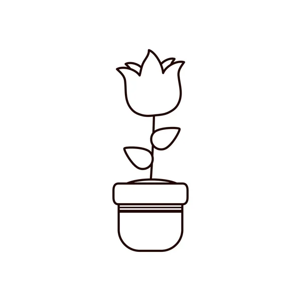 Flor de rosa dentro de la línea del pote icono de estilo diseño vectorial — Vector de stock