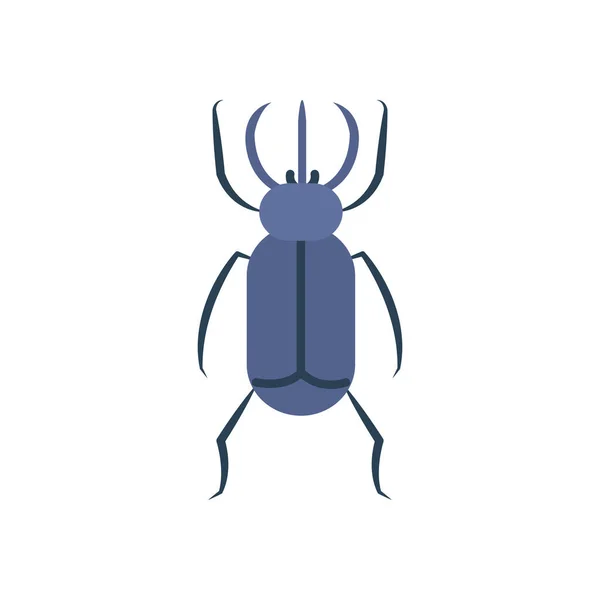 Beetle insect icon over white background, flat style — Stock Vector