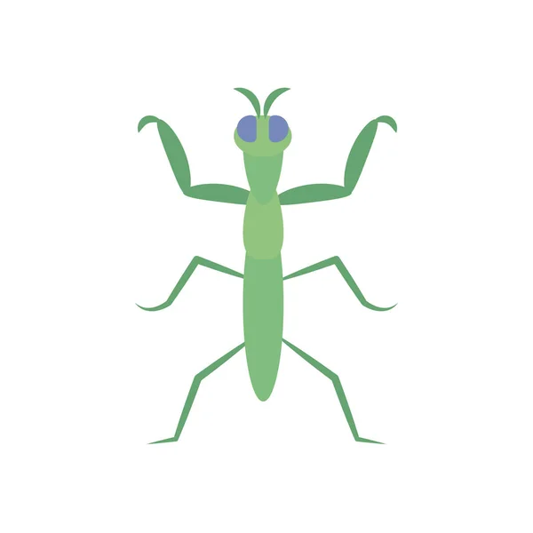 Gottesanbeterin Insektensymbol, flacher Stil — Stockvektor