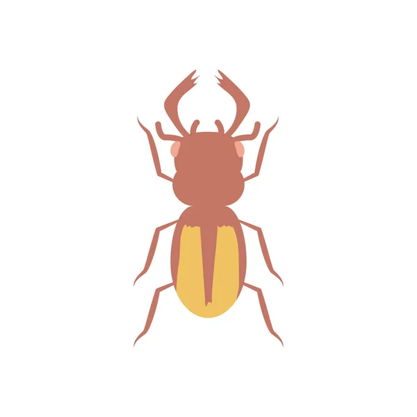 Stag beetle icon, flat style — Stock Vector