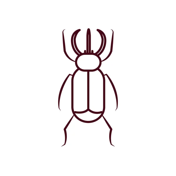 Beetle insect icon over white background, line style — Stock Vector