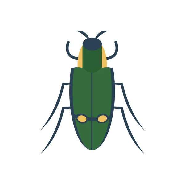 Carab beetle icon, flat style — Stock Vector