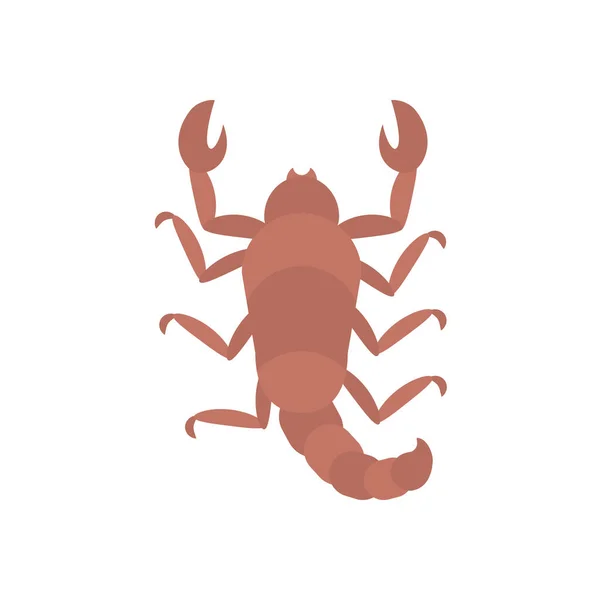 Икона насекомого скорпиона, плоский стиль — стоковый вектор