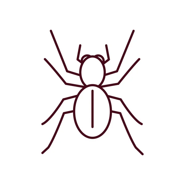 Örümcek simgesi, çizgi biçimi — Stok Vektör
