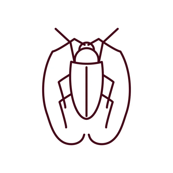 Cockroach insect icon, line style — Stock Vector