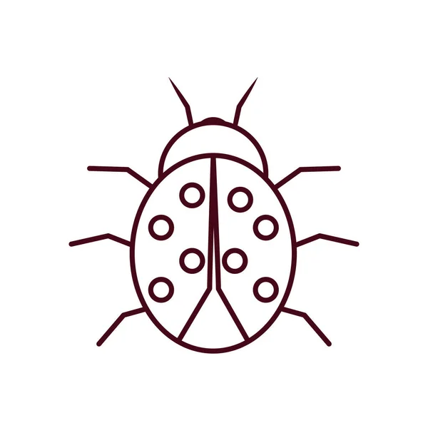 Mariquita insecto icono, estilo de línea — Vector de stock