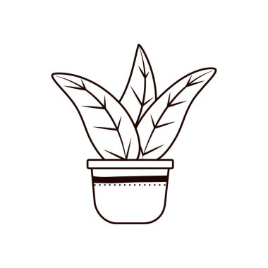 Esrar çizgisi biçim vektör tasarımı içindeki bitki