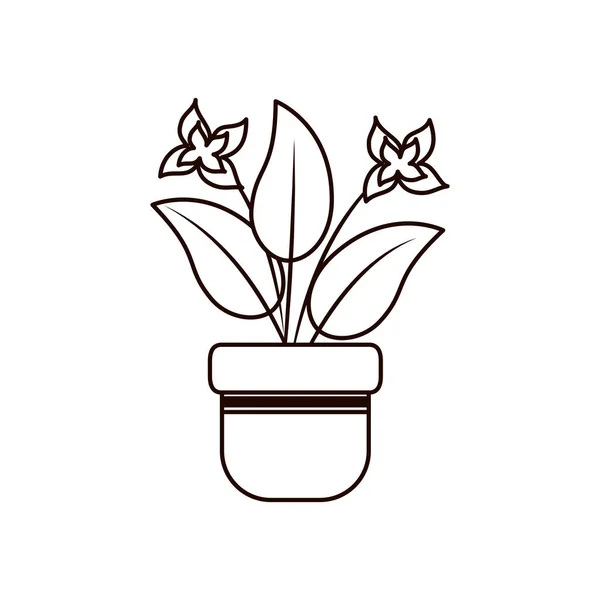 Kwiaty i liście wewnątrz pot linia styl ikona wektor projektu — Wektor stockowy