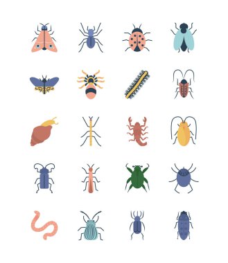 Salyangoz ve böcek konsepti simgesi seti, düz stil