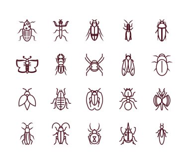Praying mantis and insect icon set, line style vector Praying mantis and insect icon set, line style vector