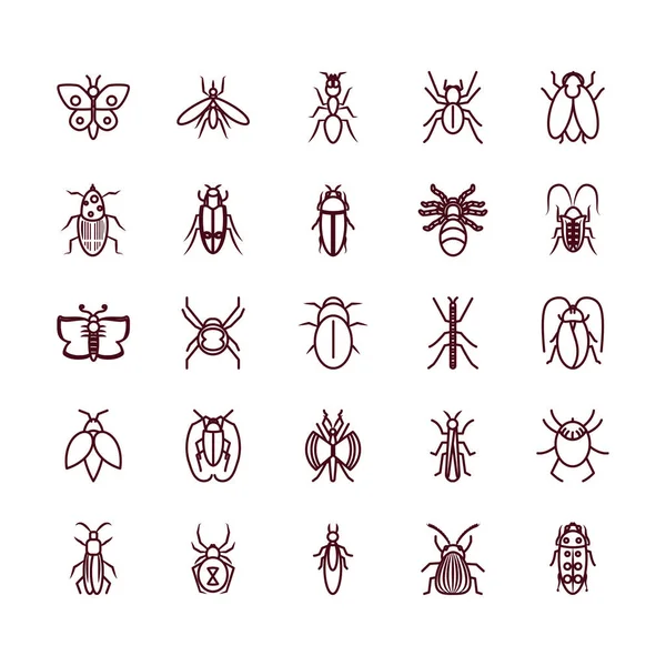 Symbolset für Ameisen- und Insektenkonzept, Linienstil — Stockvektor