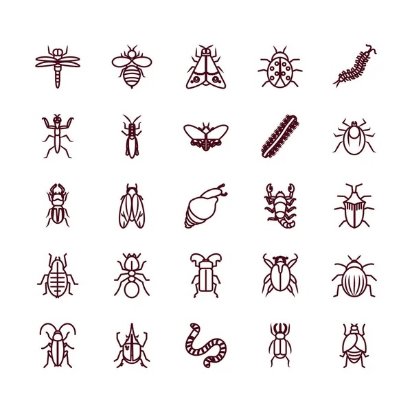 Jeu d'icônes scarabées et insectes, style ligne — Image vectorielle